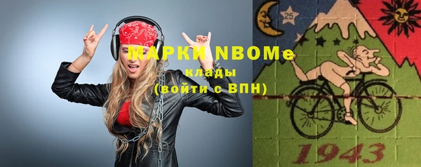 apvp Вяземский